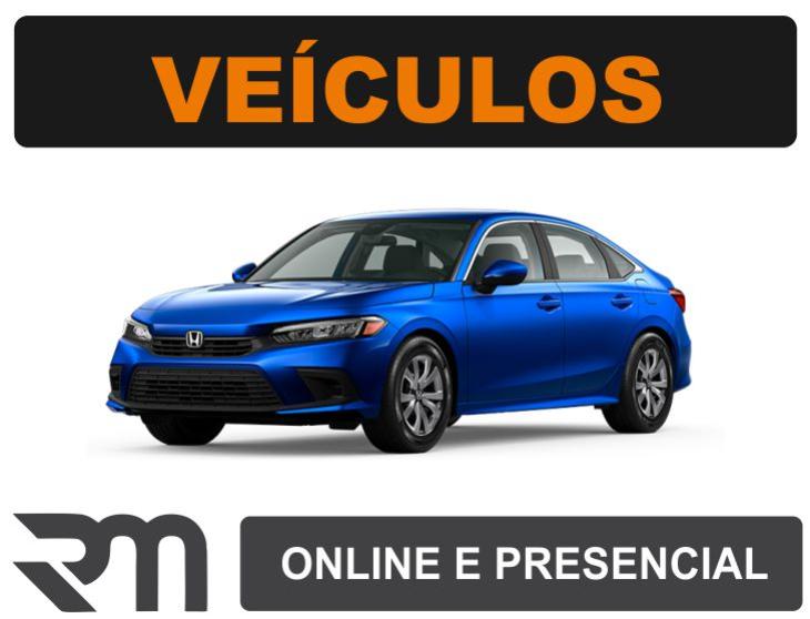 Leilão de Veículos 